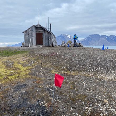 Das Citizen Science Forschungprojekt in der Arktis führt auf der Expedition Palaeontologie durch