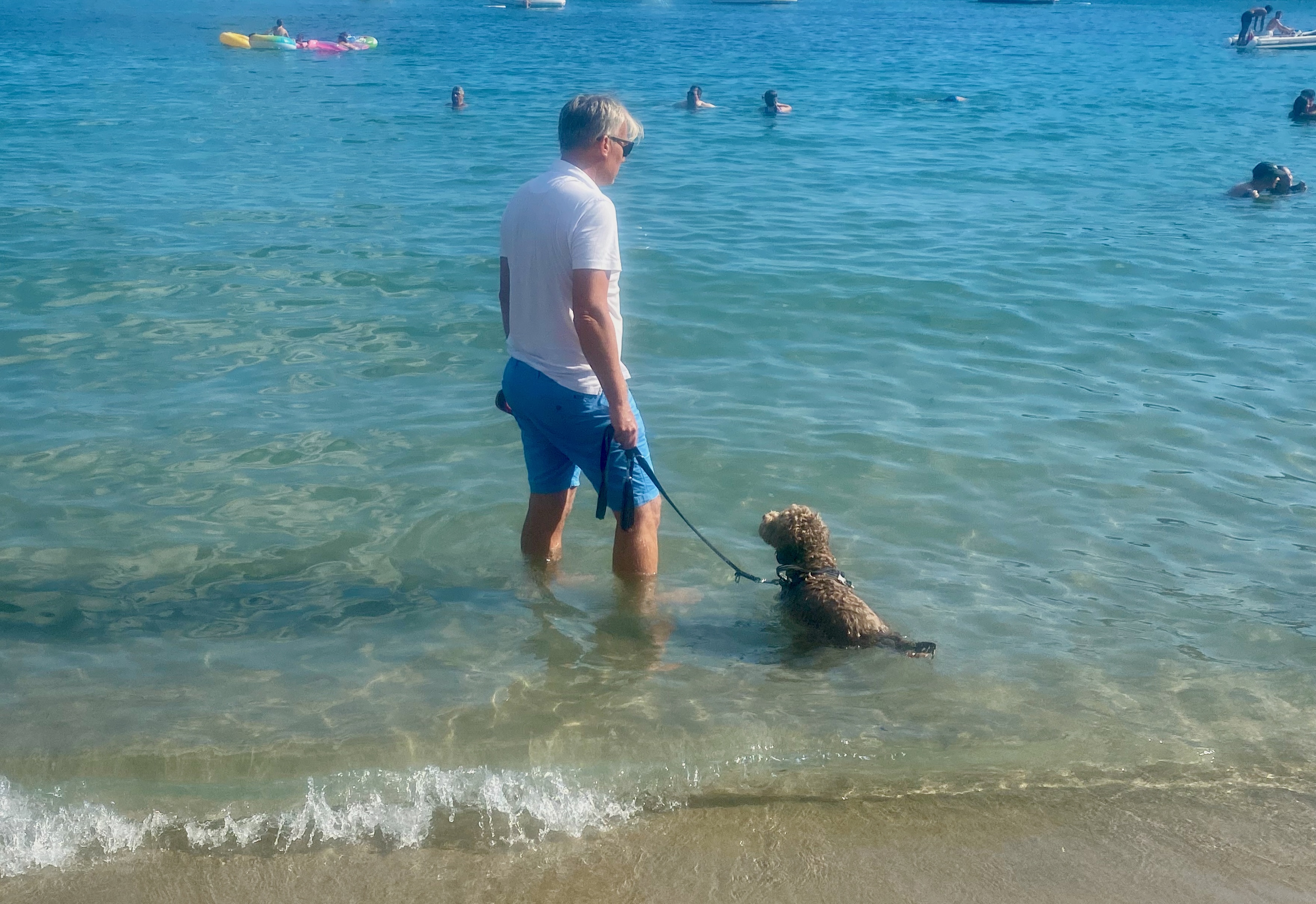 Hund badet angeleint mit seinem Besitzer im Meer während eines Urlaubs mit Hund am Strand