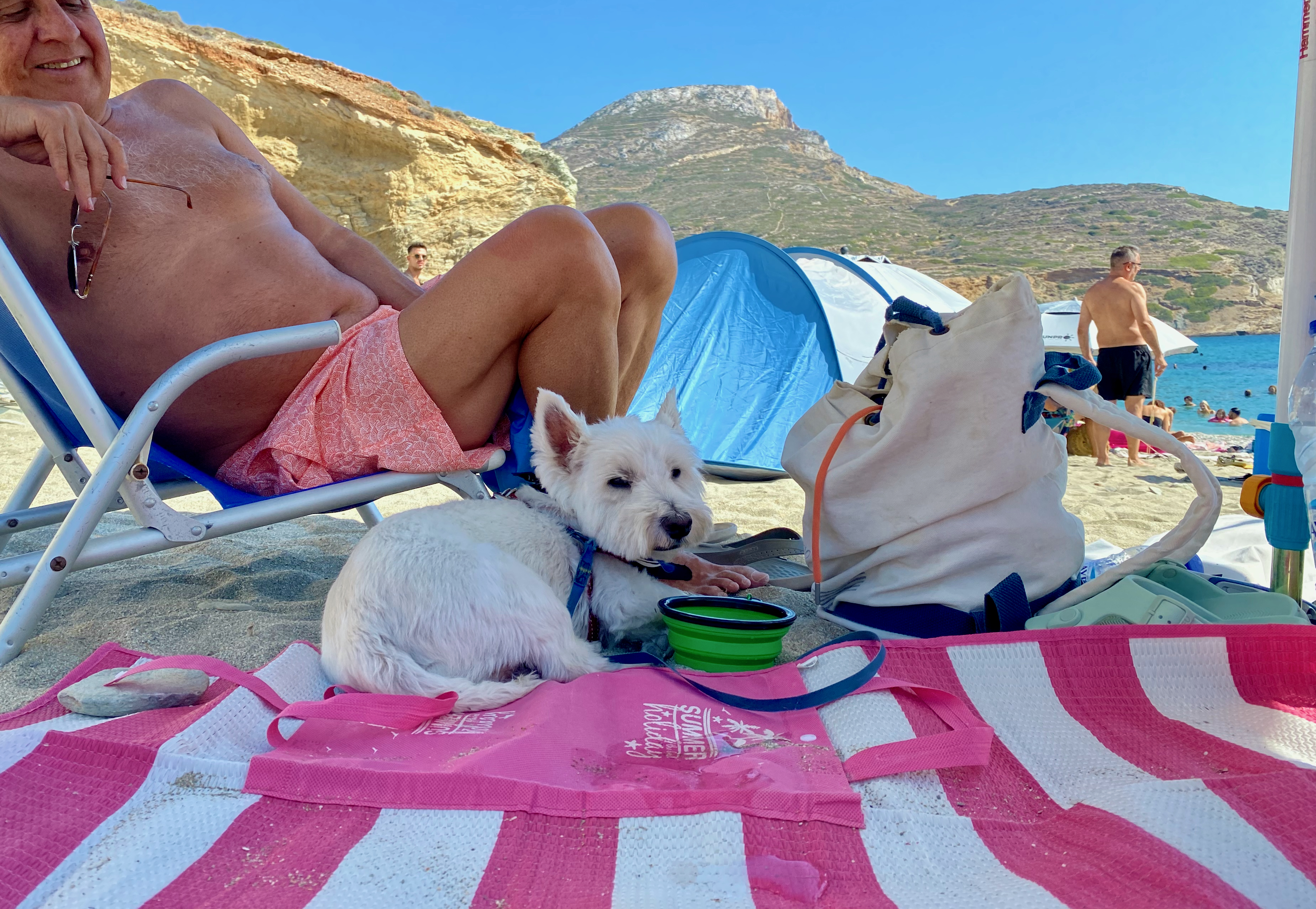 Kleiner Hund liegt bei einer Strandpause während eines Urlaubs mit Hund auf dem Schiff