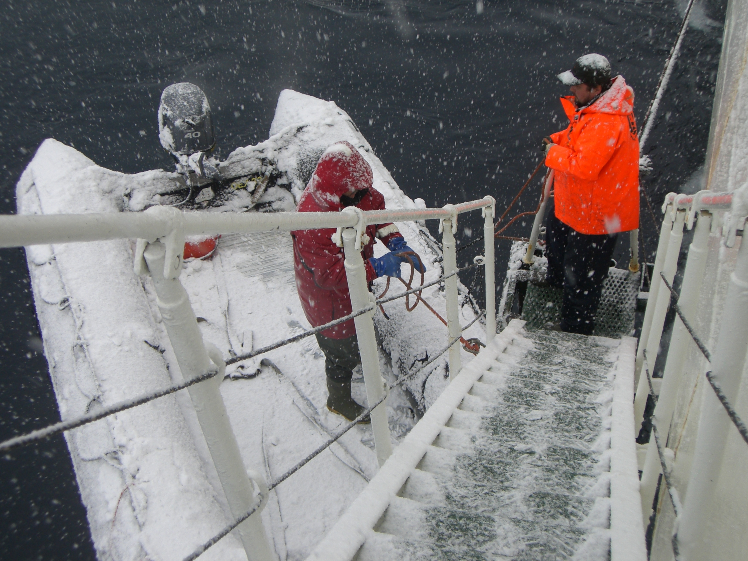 Expedition Polarforschung mit Forschungsschiff zum Südpol Buerger schaffen Wissen als Forscher