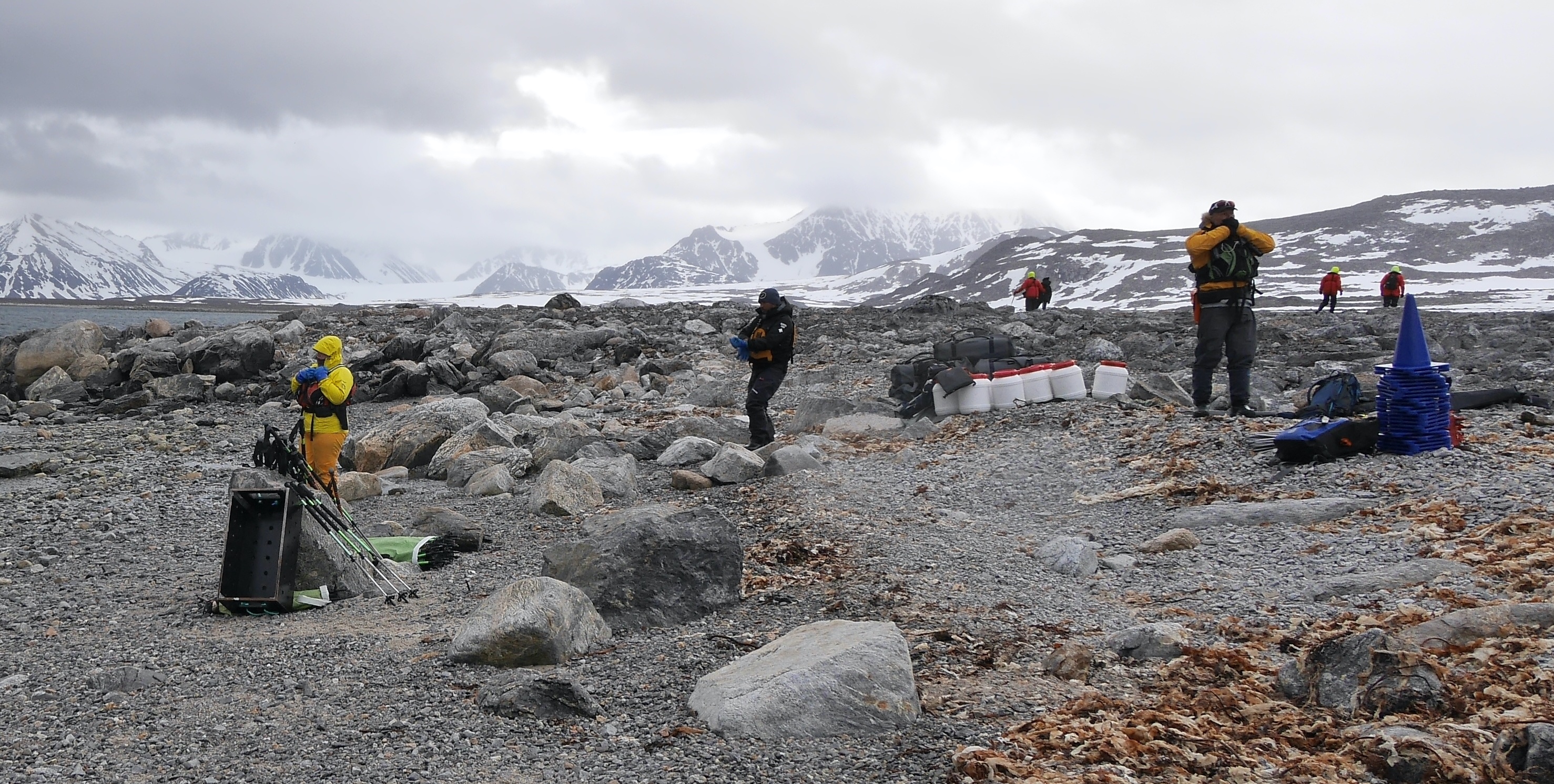 Reise buchen Bürgerforschung Forschungsprojekt Arktis gemeinsam miteinander forschen und Forschungsergebnisse präsentieren